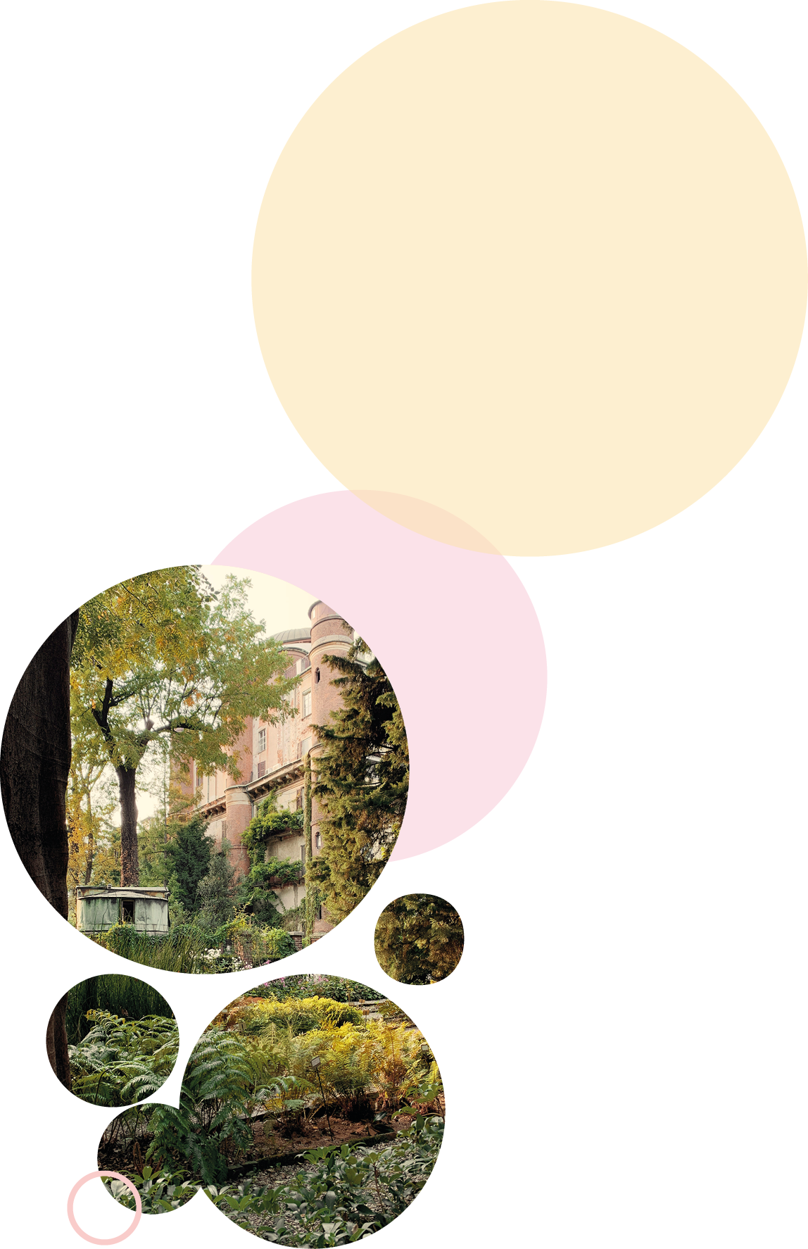 Stop № 2: Orto Botanico di Brera